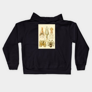 Squid and Octopus Gamochonia by Ernst Haeckel Kids Hoodie